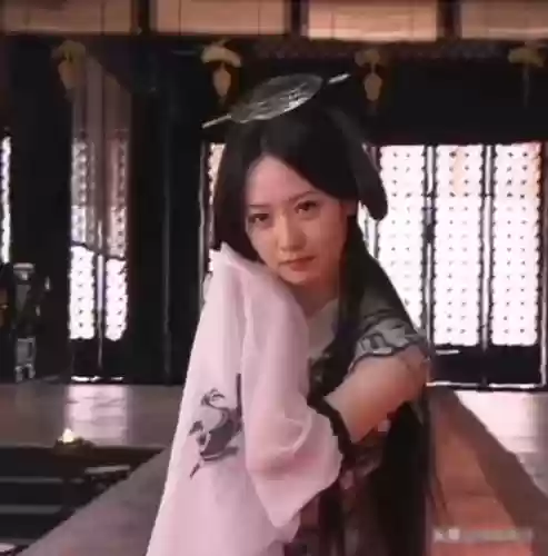 西安最美十大女星排名(陕西的女明星有哪些)插图2 西安最美十大女星排名(陕西的女明星有哪些)插图2