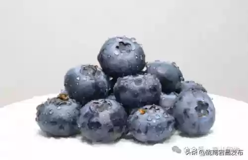 2018十大水果(中国水果排行榜前十名)插图