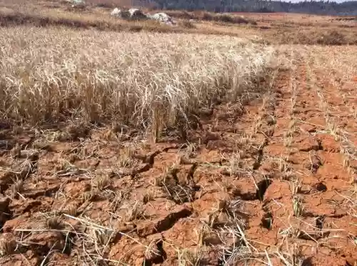 2012年十大自然灾害(八大重大自然灾害)插图23