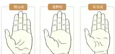 十大稀有手纹纹样(十大特殊手纹)插图1