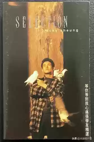 广东十大歌名排名(广东最有代表性的歌)插图75