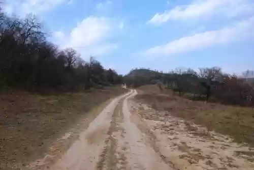 2009年国内十大新闻(年度十大新闻)插图2