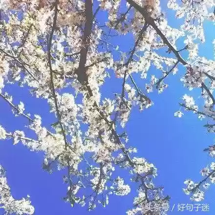 快手十大热门语句(快手怎么上热门)