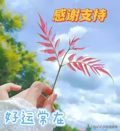 新加坡十大金曲排名(新加坡最好的音乐学院)
