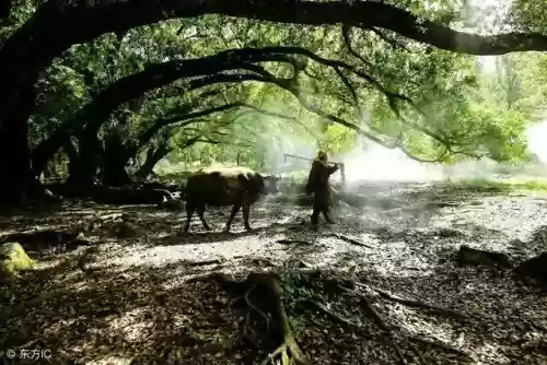 2010新浪十大好书(中国销量最好的十本书)插图8