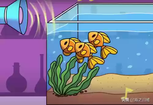 2012十大谣言(世界十大谣言)插图6