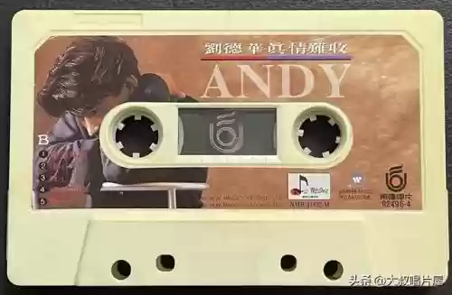 广东十大歌名排名(广东最有代表性的歌)插图26