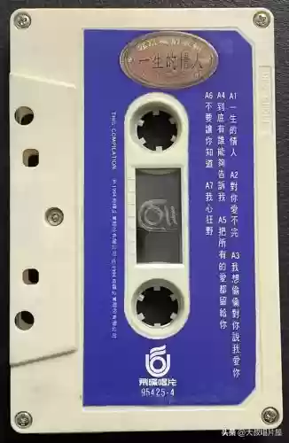 广东十大歌名排名(广东最有代表性的歌)插图14