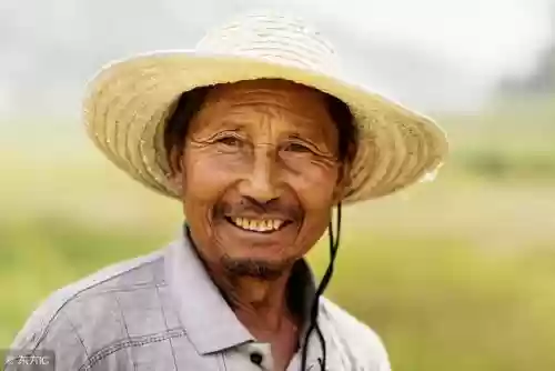 2010新浪十大好书(中国销量最好的十本书)插图9