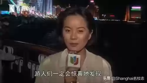 上海十大美景中学(上海最好中学排名)