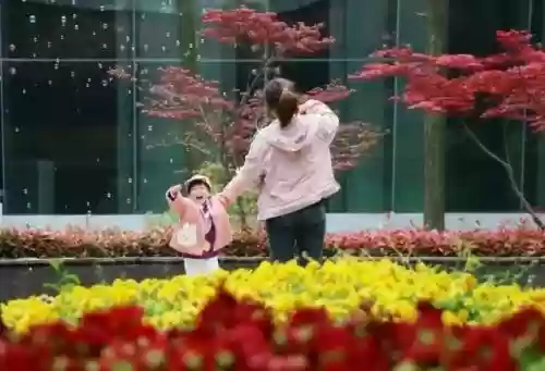 2019十大热门品类(十大热销产品都有什么)