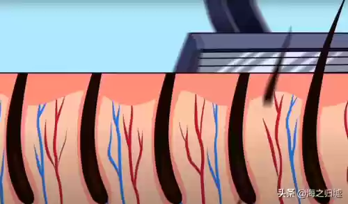 2012十大谣言(世界十大谣言)插图10