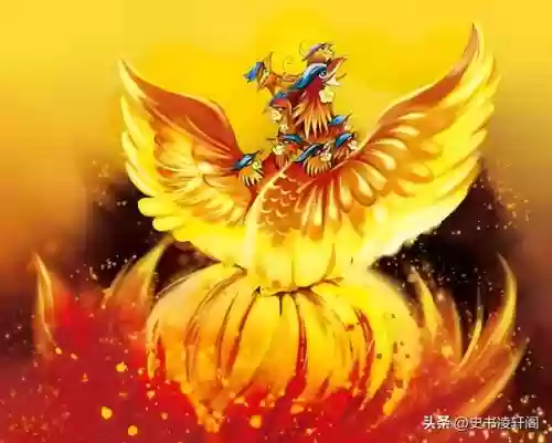 上古十大鹰类(上古十大神鸟排行榜)插图2 上古十大鹰类(上古十大神鸟排行榜)插图2