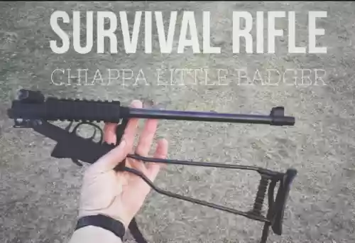 民用十大生存步枪图片(十大野外生存枪)插图2