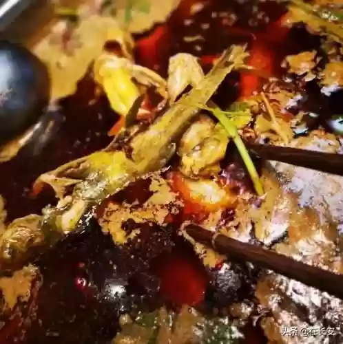 磐安牛排十大品牌(网上牛排哪个牌子的好)插图23