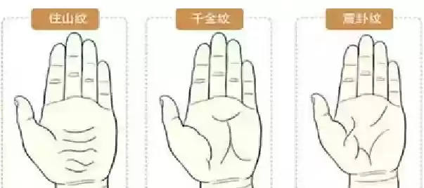十大稀有手纹纹样(十大特殊手纹)插图3