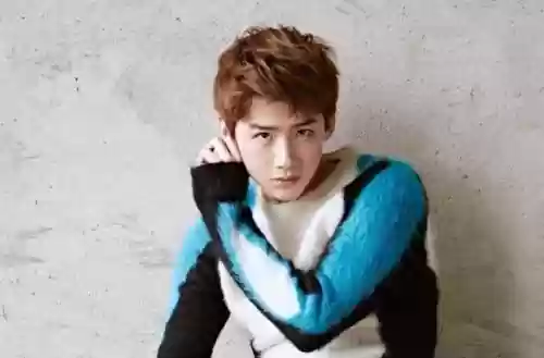 2016亚洲十大男神投票(韩国十大男神)插图1