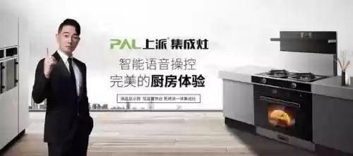 2015集成灶十大排行榜(排名前十的集成灶)插图7