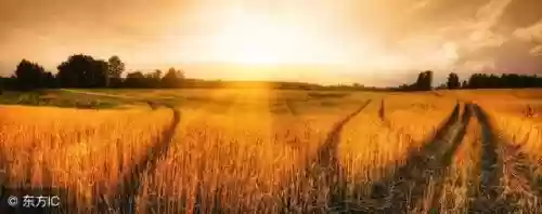 2010新浪十大好书(中国销量最好的十本书)插图6