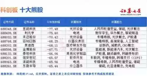 2010十大熊股(2008年最牛的10只股票)