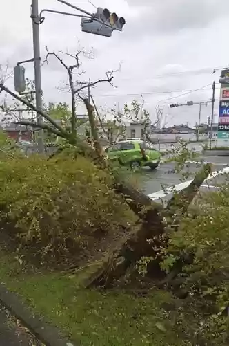 2012年十大自然灾害(八大重大自然灾害)插图4