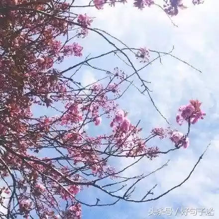 快手十大热门语句(快手怎么上热门)插图4 快手十大热门语句(快手怎么上热门)插图4