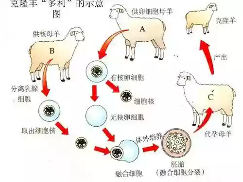 20世纪的十大科技发明(20世纪重大发明有哪些)插图8