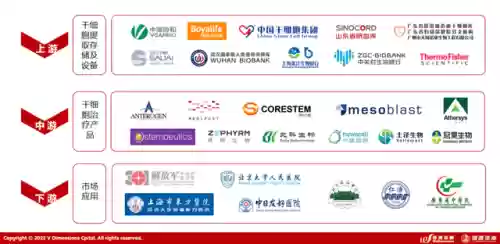 2020十大干细胞公司(中国干细胞公司排名)插图3 2020十大干细胞公司(中国干细胞公司排名)插图3