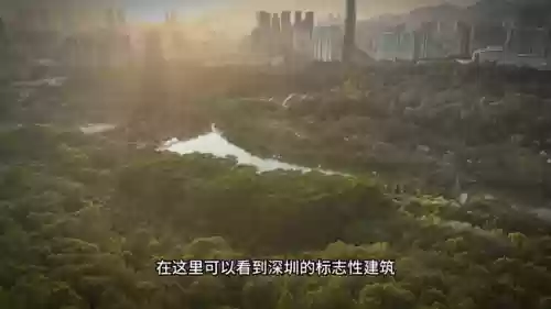 2020深圳十大景点攻略(深圳十大景点排行榜)