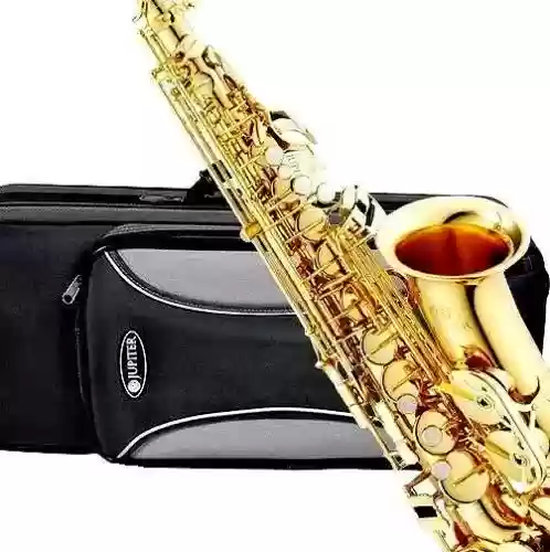 世界十大萨克斯名牌(国产萨克斯品牌排行榜)插图4