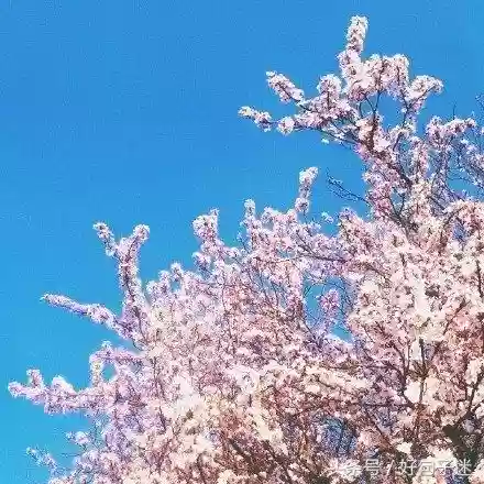 快手十大热门语句(快手怎么上热门)插图 快手十大热门语句(快手怎么上热门)插图