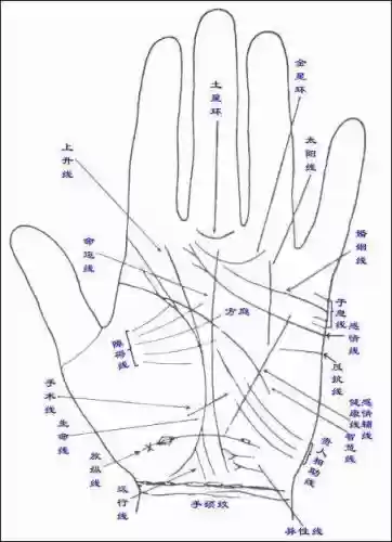 十大稀有手纹纹样(十大特殊手纹)插图