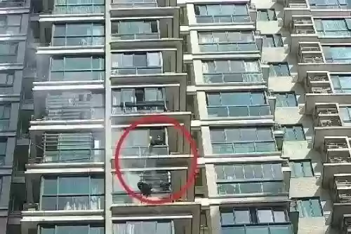 浙江十大危险小区排名(杭州居住环境最好的小区排名)插图5 浙江十大危险小区排名(杭州居住环境最好的小区排名)插图5