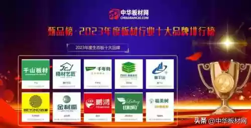 2017年生态板十大排名(全国生态板十大名牌)插图