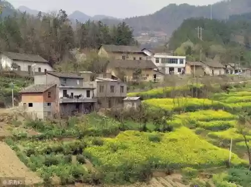 2010新浪十大好书(中国销量最好的十本书)插图3