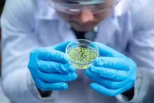 21世纪十大热门行业(当前热门行业有哪些)插图4