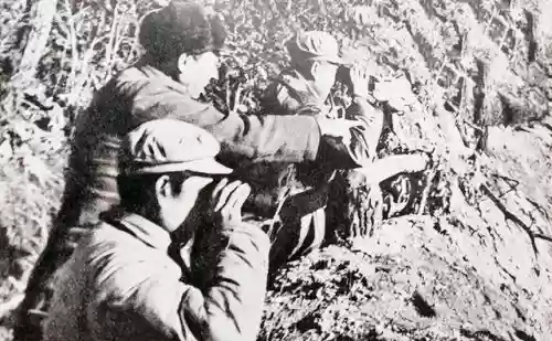 300英雄十大爆发英雄(lol难度最高十大英雄)插图21