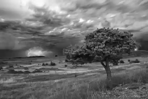 2012年十大自然灾害(八大重大自然灾害)插图