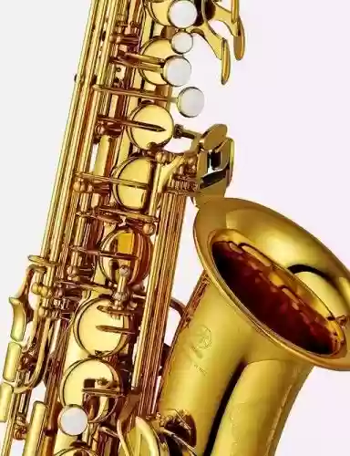 世界十大萨克斯名牌(国产萨克斯品牌排行榜)插图2