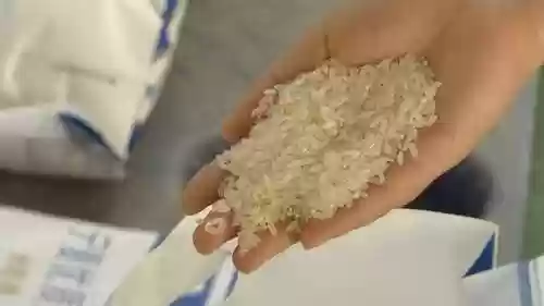 2016中国十大好吃米饭(全国最好吃的大米排行榜)插图