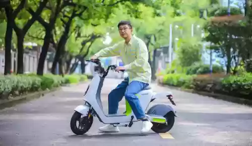 2017电动车十大排行榜(电动车十强的排名)插图7