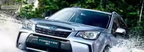 2019 十大新车(新车)插图4