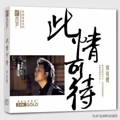 2012十大发烧唱片(90年代唱片销量排行榜)插图1 2012十大发烧唱片(90年代唱片销量排行榜)插图1