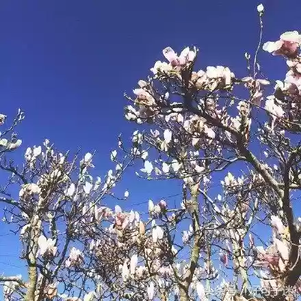 快手十大热门语句(快手怎么上热门)插图5 快手十大热门语句(快手怎么上热门)插图5