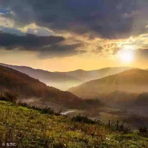 2010新浪十大好书(中国销量最好的十本书)插图10