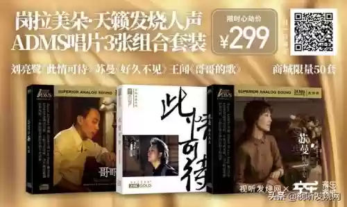 2012十大发烧唱片(90年代唱片销量排行榜)插图 2012十大发烧唱片(90年代唱片销量排行榜)插图