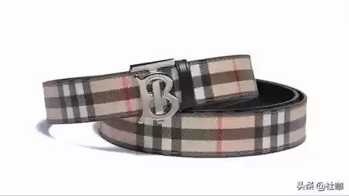皮带十大保护品牌(十大名牌皮带排名榜)插图5