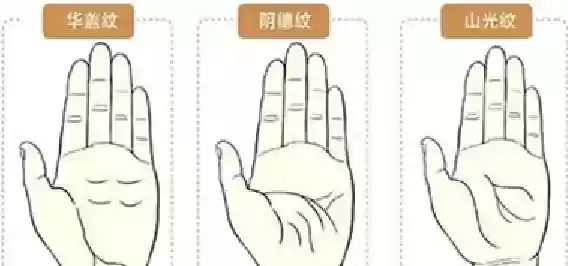 十大稀有手纹纹样(十大特殊手纹)插图4