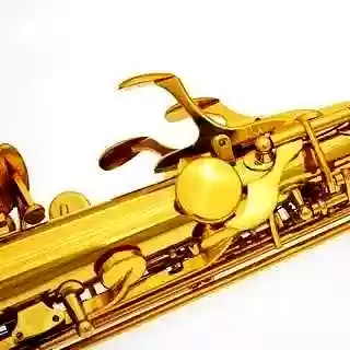 世界十大萨克斯名牌(国产萨克斯品牌排行榜)