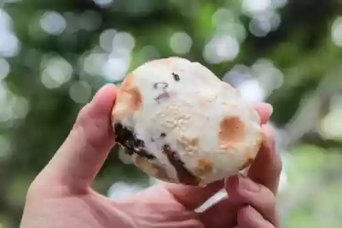 上海十大煎饼果子(煎饼果子哪里最正宗)插图21